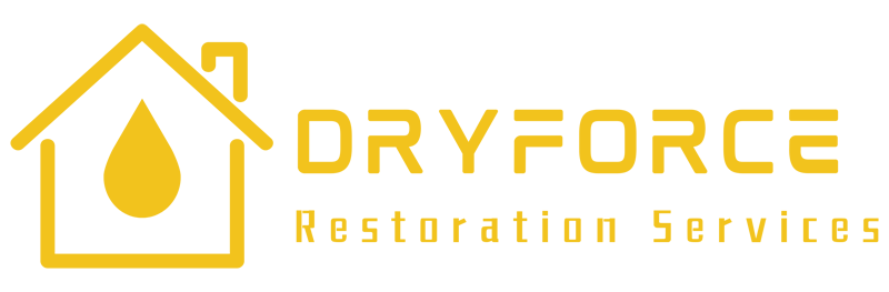 Dry Force Restoration Services Logo